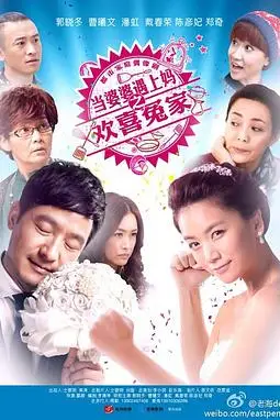 《当婆婆遇上妈之欢喜冤家》封面