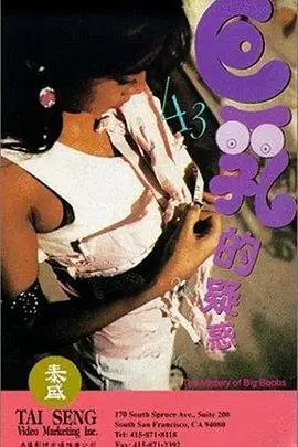 《巨乳的疑惑》封面