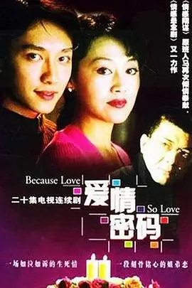 《爱情密码》封面