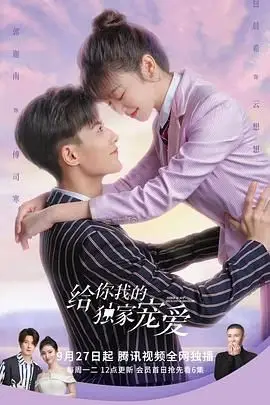 《给你我的独家宠爱》封面