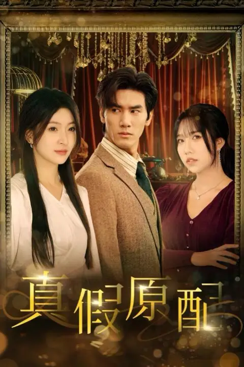 《真假原配》封面