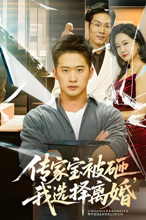 《传家宝被砸我选择离婚》封面