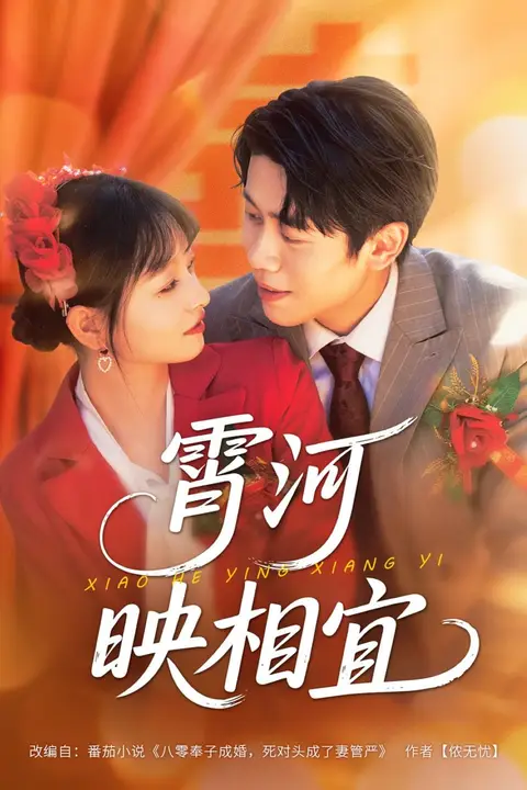 《霄河映相宜》封面