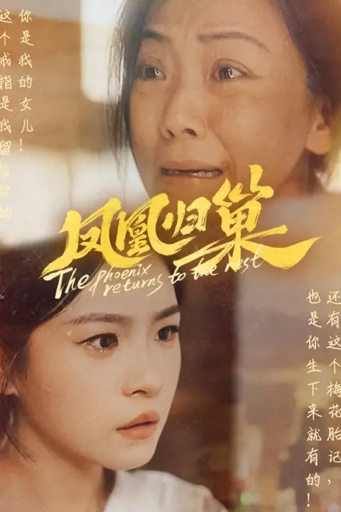 《凤凰归巢》封面