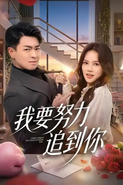《我要努力追到你》封面
