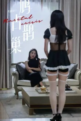 《鸠占鹊巢(我的极品保姆)》封面