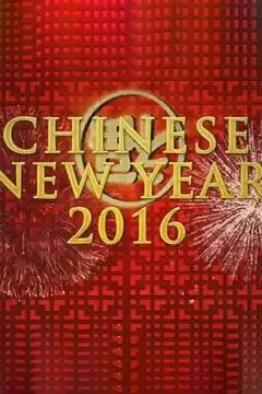 《中国新年：全球最大庆典》封面