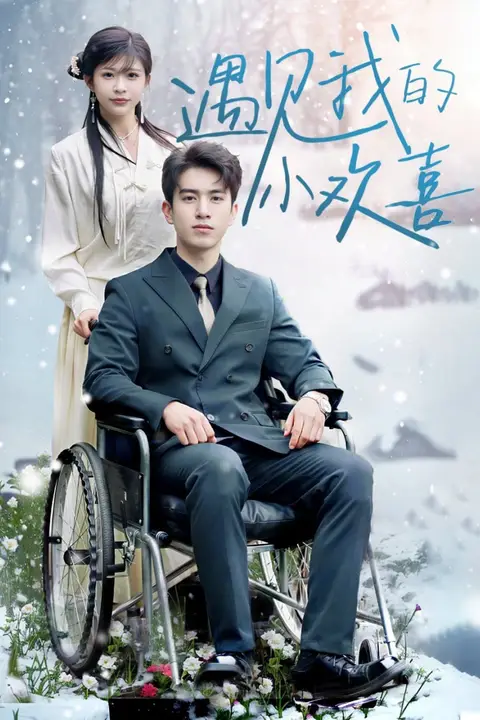 《遇见我的小欢喜》封面