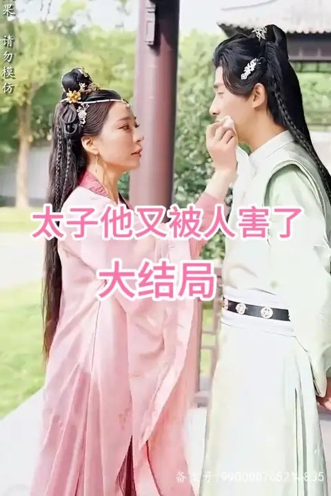《太子他又被人害了》封面