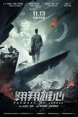 《翱翔雄心(普通话)》封面