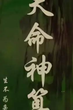 《天命神算》封面