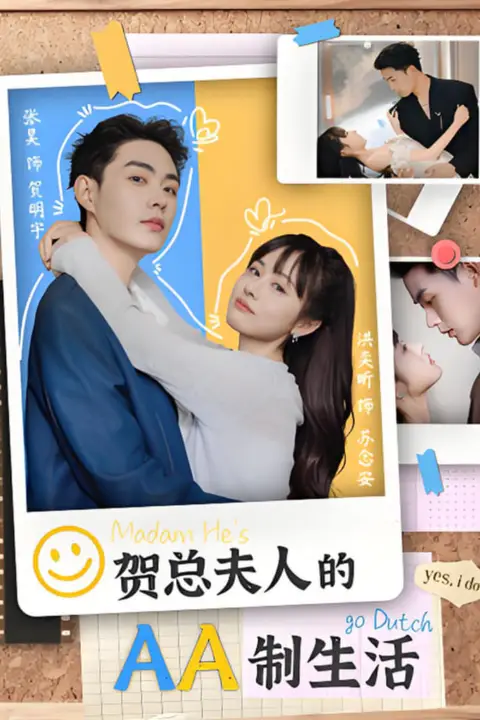 《贺总夫人的AA制生活》封面