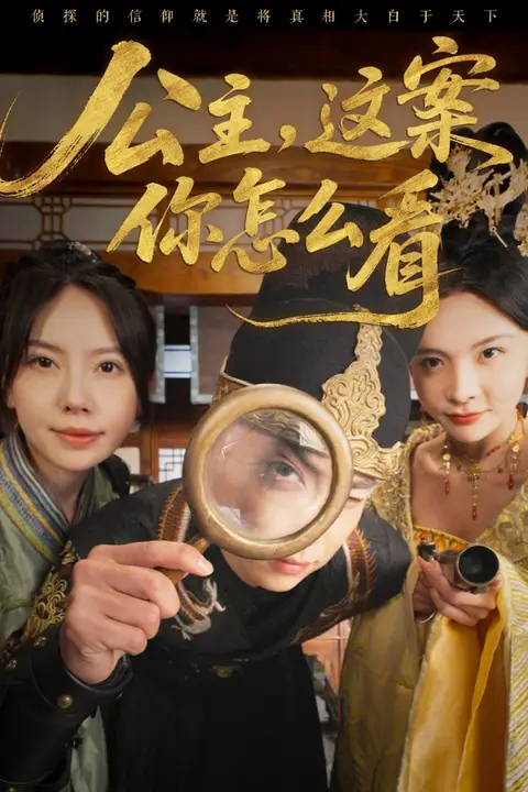 《公主,这案你怎么看》封面