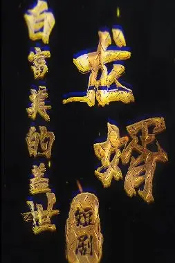 《白富美的盖世龙婿》封面