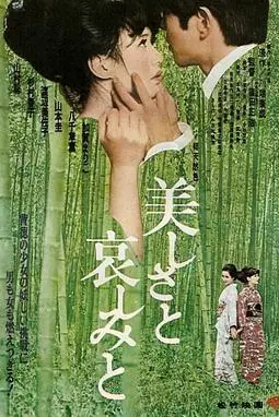 《美丽与哀愁》封面