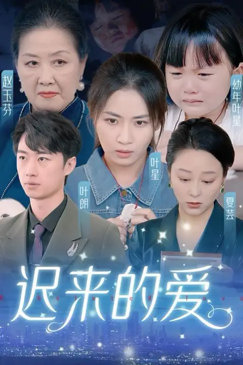 《迟来的爱(天上的星星不说话)》封面