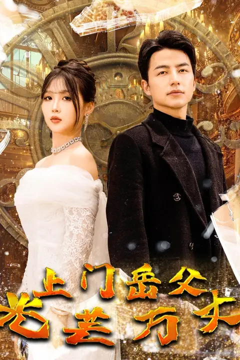 《上门岳父光芒万丈》封面