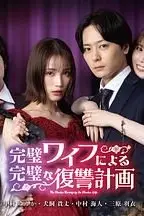 《完美妻子的完美复仇计划》封面
