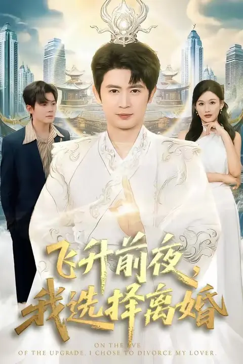 《飞升前夜，我选择离婚》封面