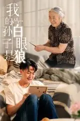 《我的孙子是白眼狼》封面