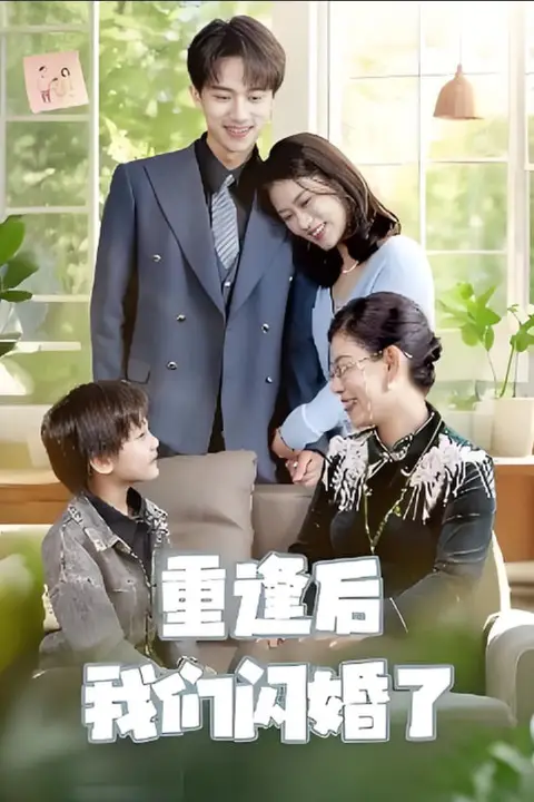 《重逢后我们闪婚了》封面