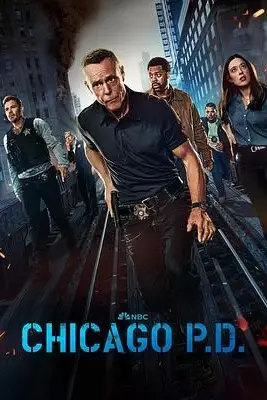 《芝加哥警署 第十二季》封面