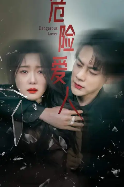《危险爱人》封面