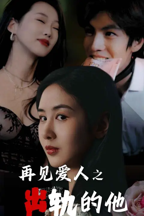 《再见爱人之出轨的他》封面
