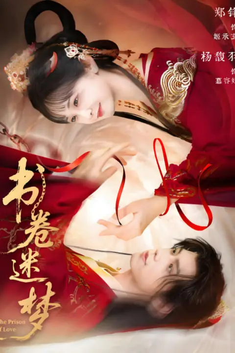 《书卷迷梦》封面
