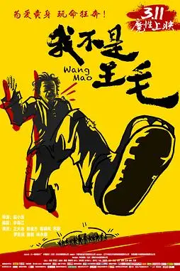 《我不是王毛》封面