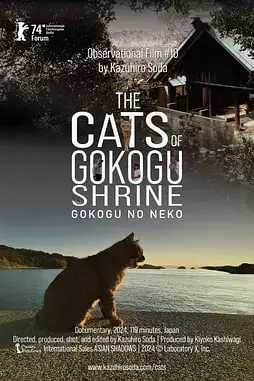 《五香宫的猫》封面