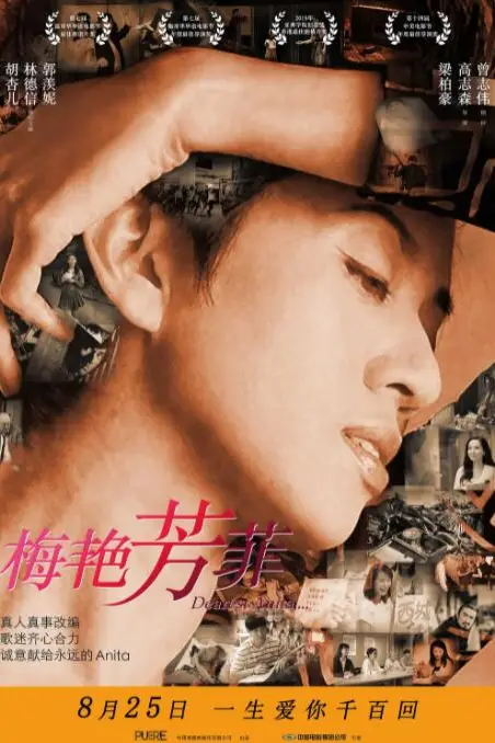 《梅艳芳菲》封面