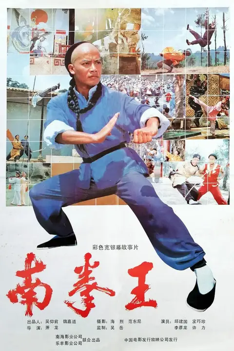 《南拳王》封面
