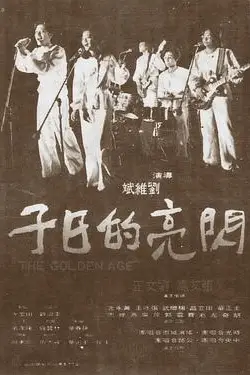 《闪亮的日子》封面