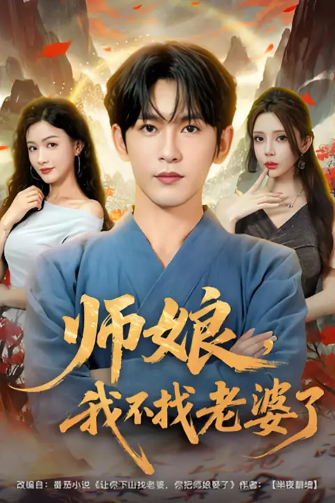 《师娘我不找老婆了》封面