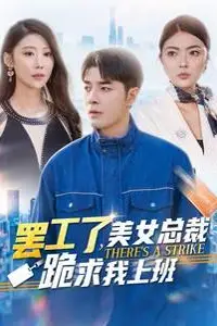 《罢工了美女总裁跪求我上班》封面