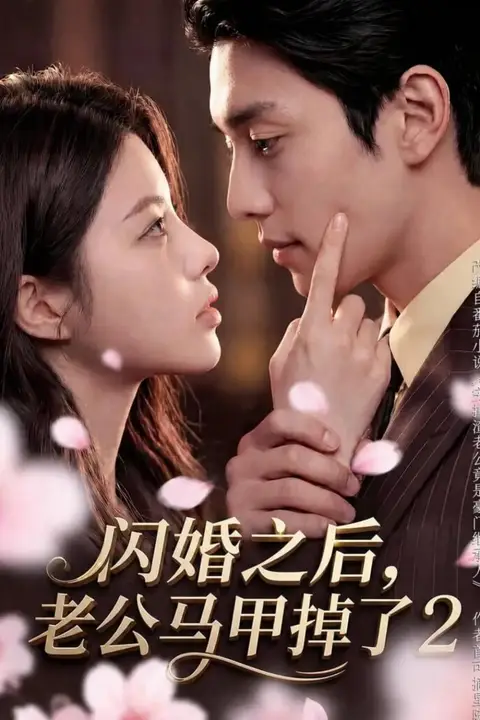 《闪婚之后,老公马甲掉了 2》封面