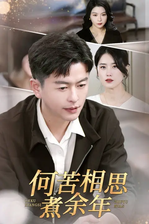 《何苦相思煮余年》封面