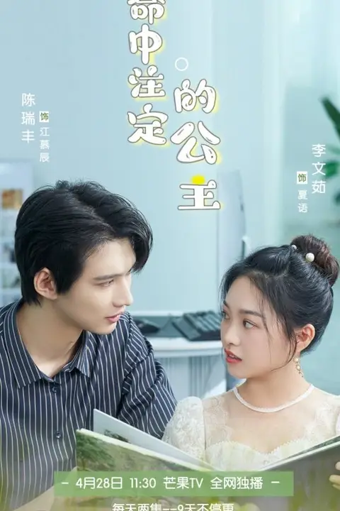 《命中注定的公主》封面