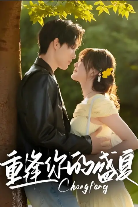 《重逢你的盛夏》封面