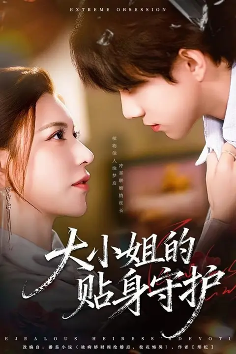 《大小姐的贴身守护》封面