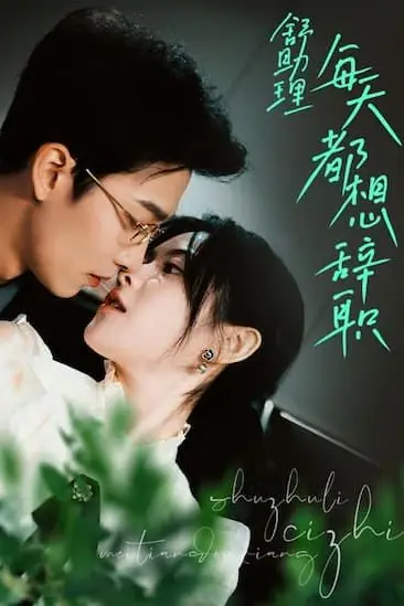 《舒助理每天都想辞职》封面