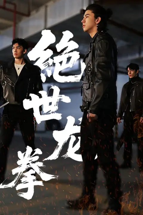 《绝世龙拳》封面