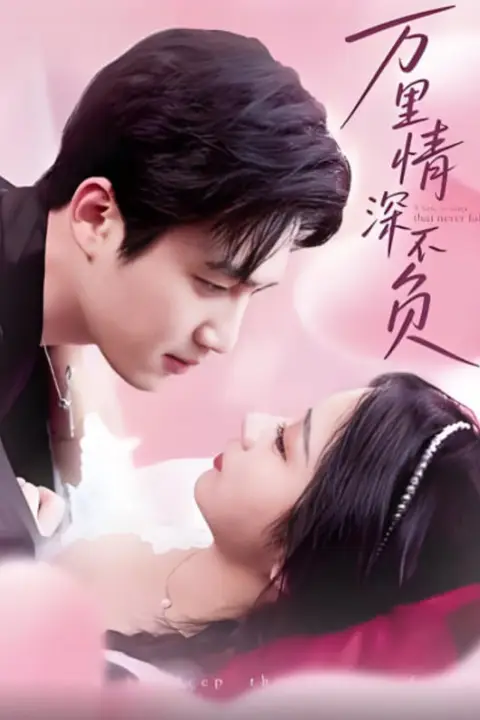 《万里情深不负》封面