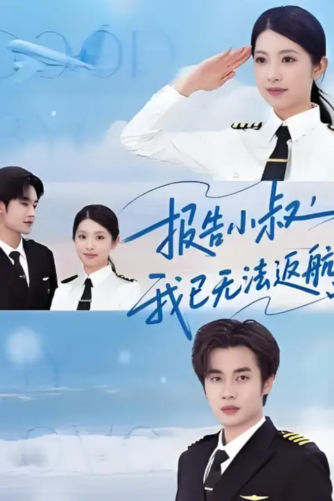 《报告小叔我已无法返航》封面