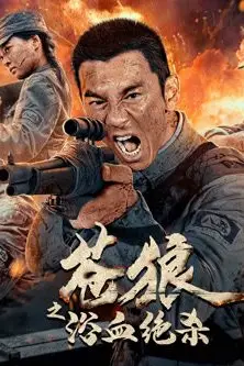 《苍狼之浴血绝杀》封面