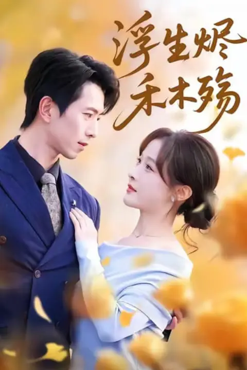 《浮生烬禾木殇(雾漫青衫沾白露)》封面