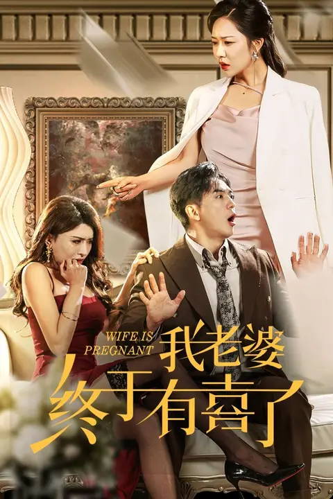 《我老婆终于有喜了》封面