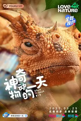 《神奇动物的一天 第一季》封面