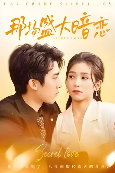 《那场盛大暗恋》封面